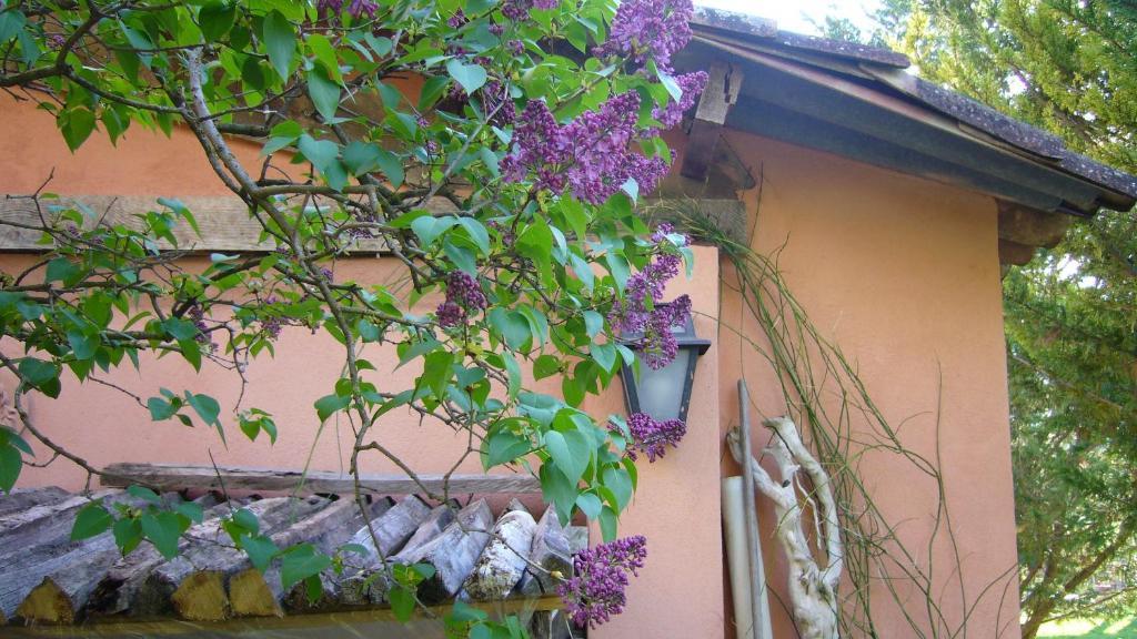 La Maison De Melen Мустьє-Сент-Марі Екстер'єр фото